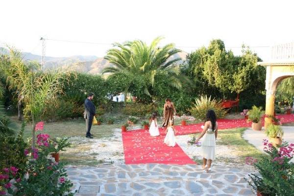 Organización boda