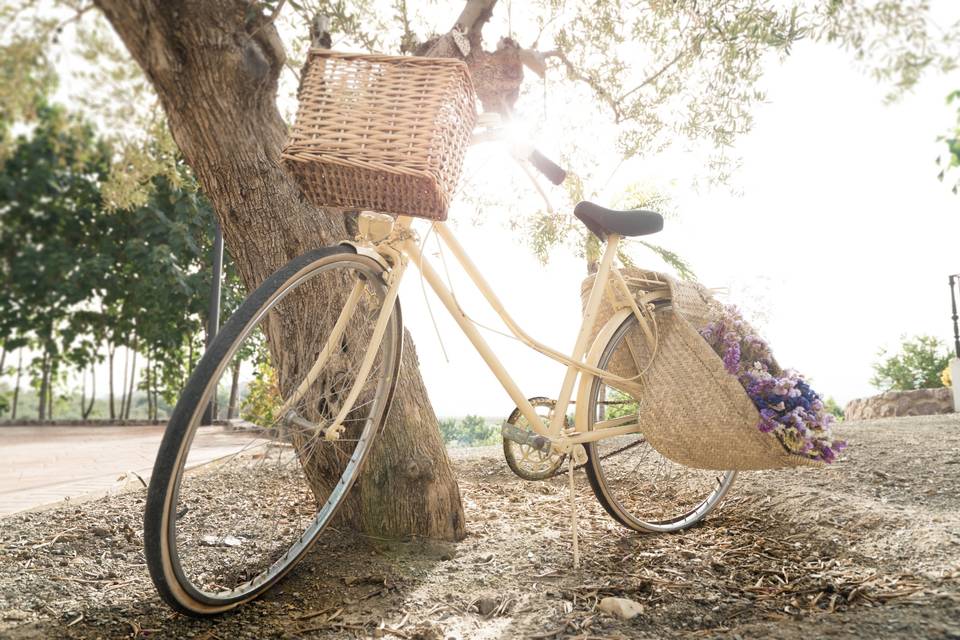 Decoración de bici