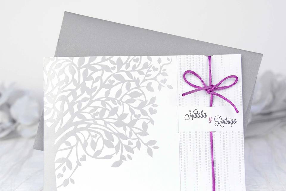 Fashion Bodas M&A