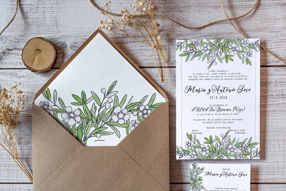 Fashion Bodas M&A