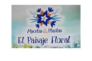 El Paisaje Floral