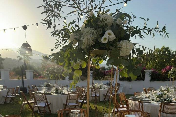 Boda