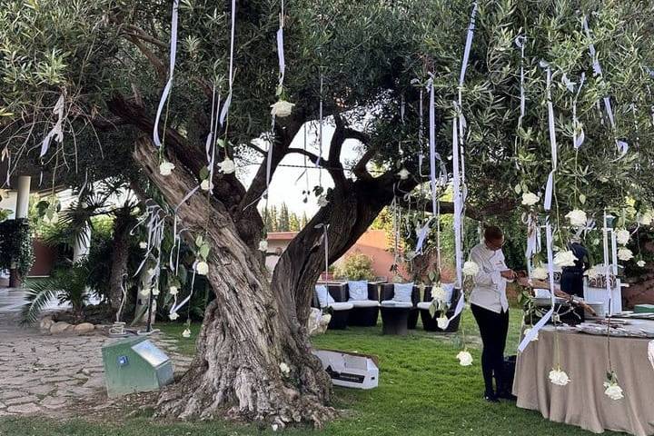 Boda