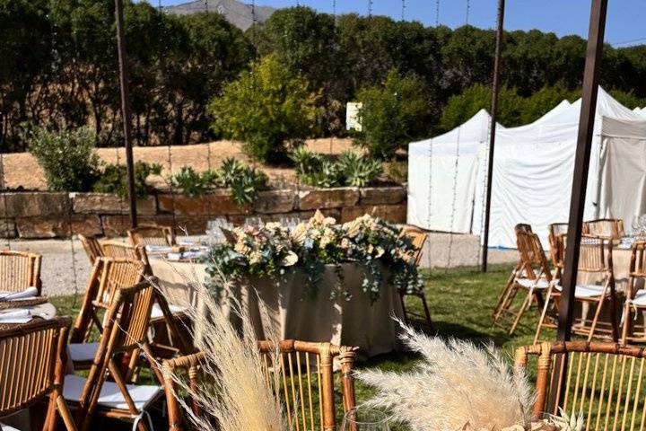 Boda