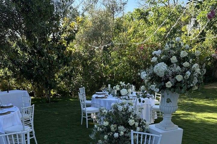 Boda
