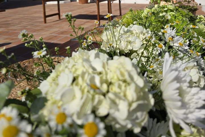 Boda