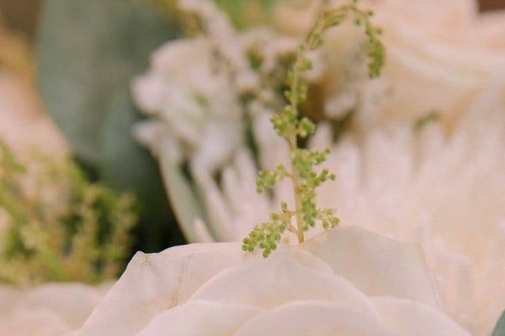 Boda