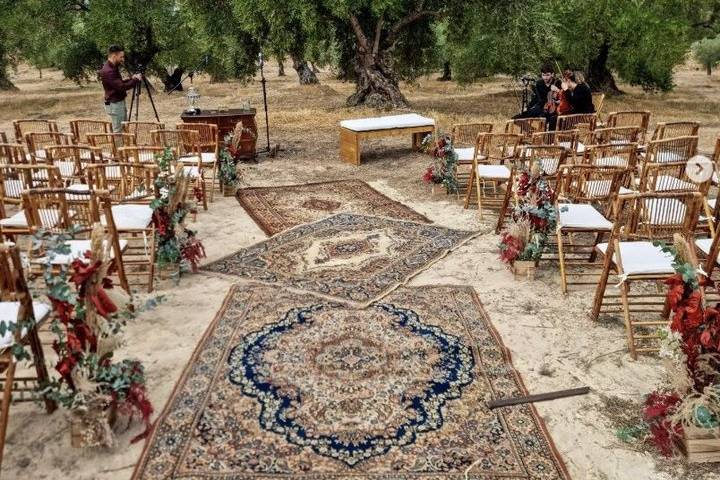 Boda