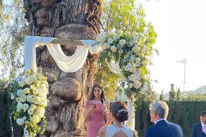 Boda