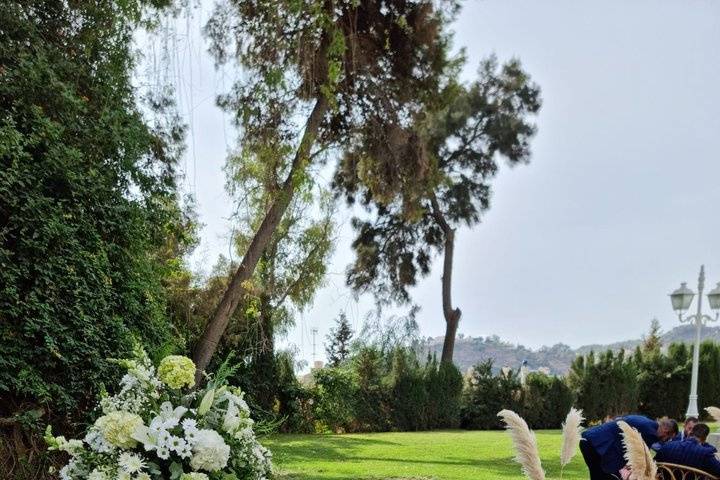 Boda