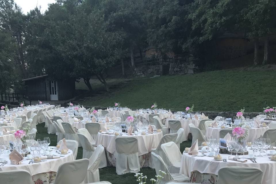 Amadís Catering