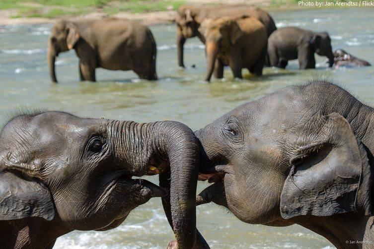 Viaje de Novios a Maldivas