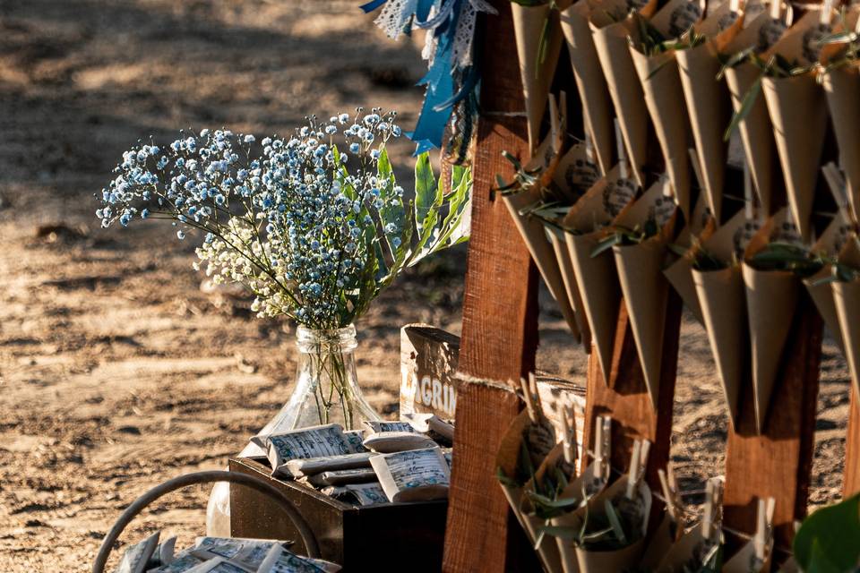 Ceremonia en el pinar