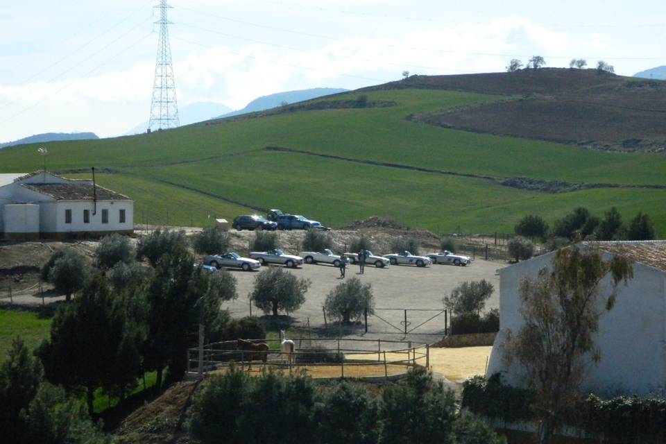 Cortijo el puntal de Teba