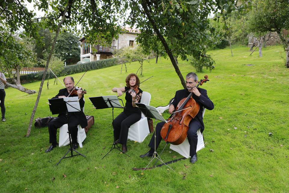 Música para la ceremonia civil