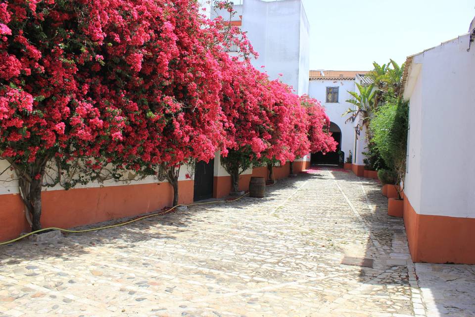 Bodega Vélez - Momento Andaluz Catering