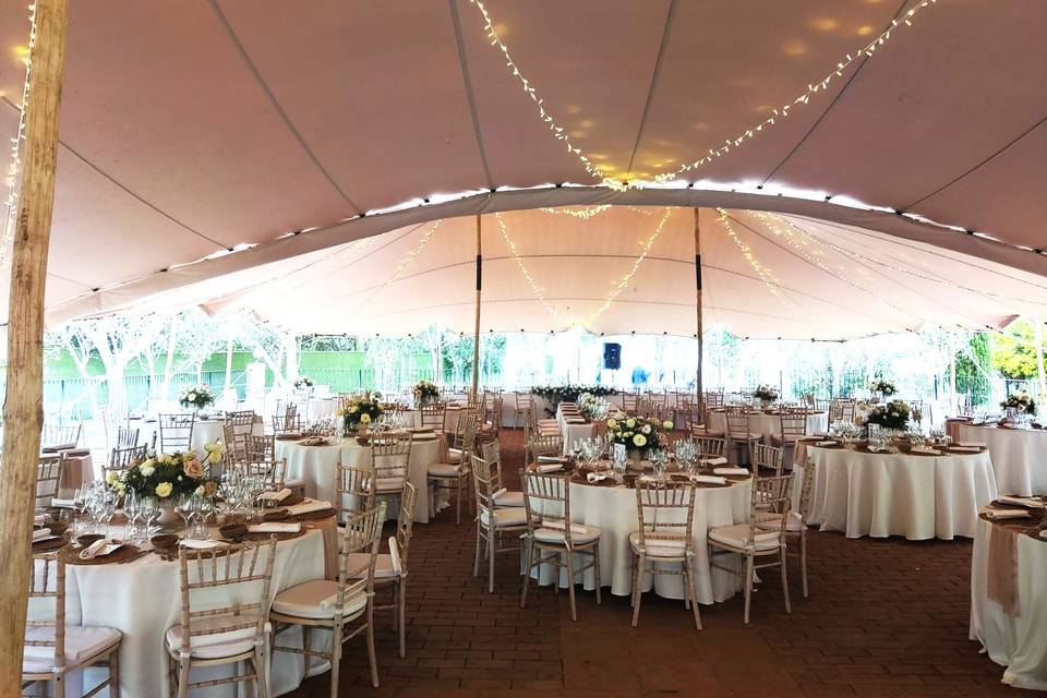 Carpa con iluminación
