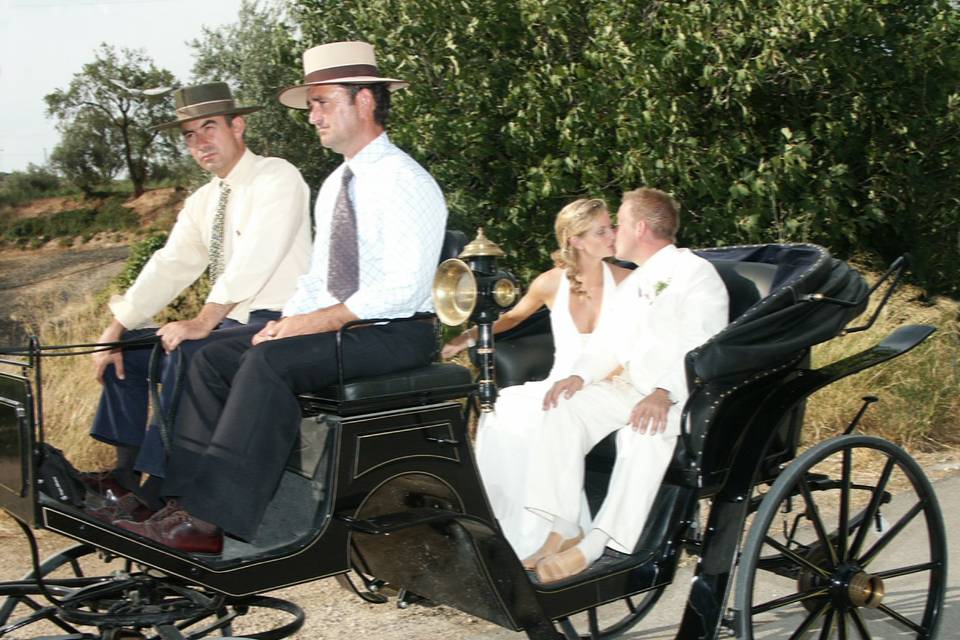 Paseo en coche de caballos