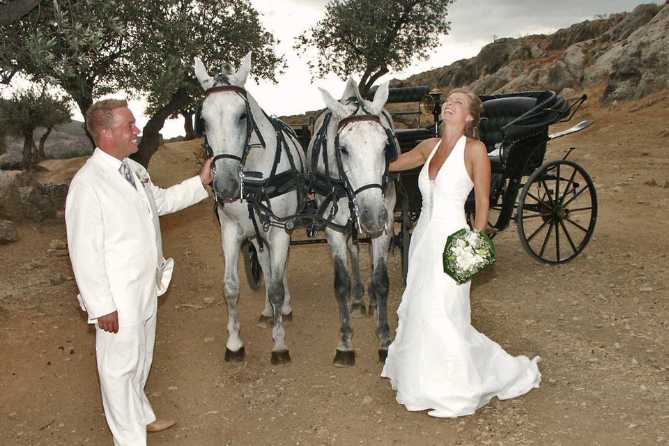 Coche de caballos