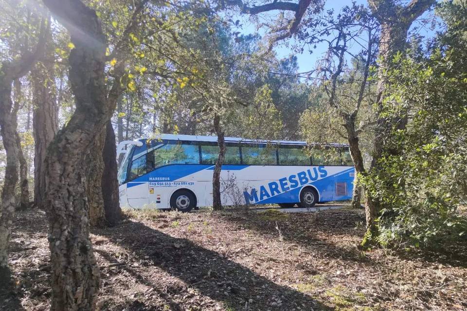 Autocares Maresbus