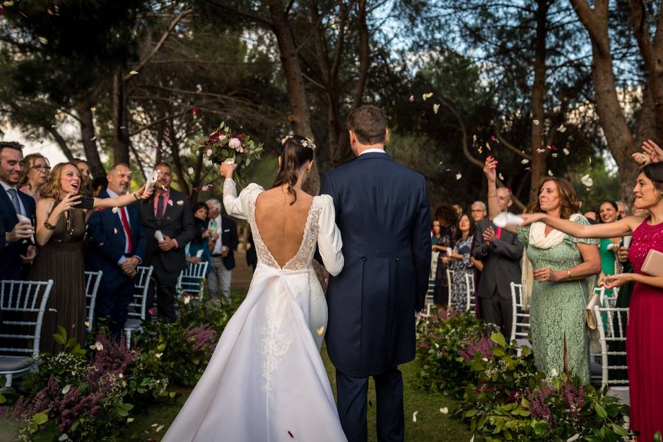 Novios