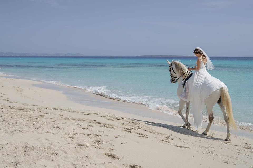 Novia a caballo