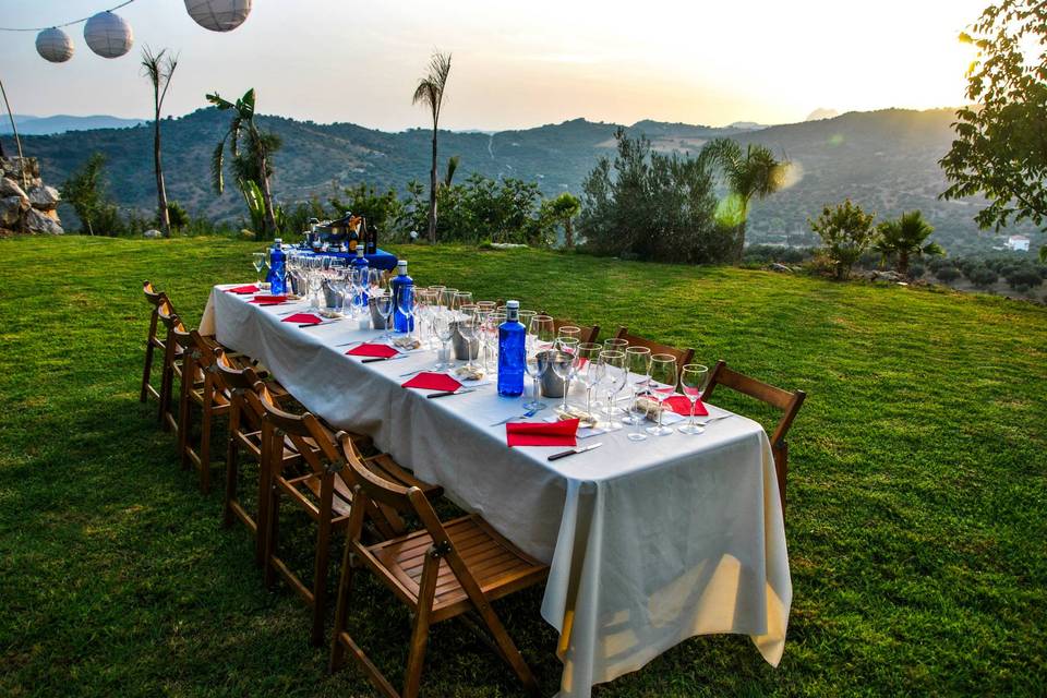 Jardín, decoración boda