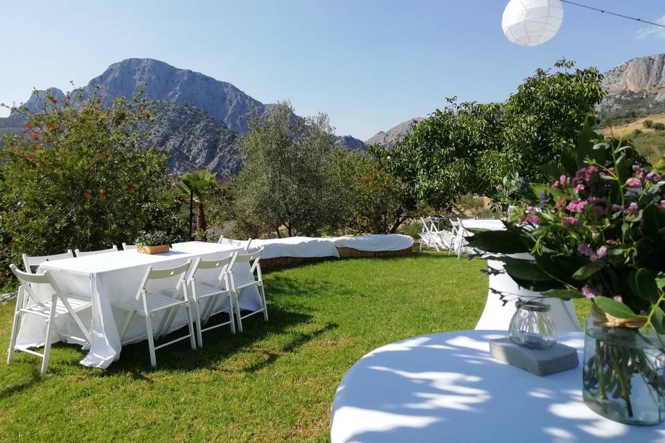 Montaje de cena en jardín