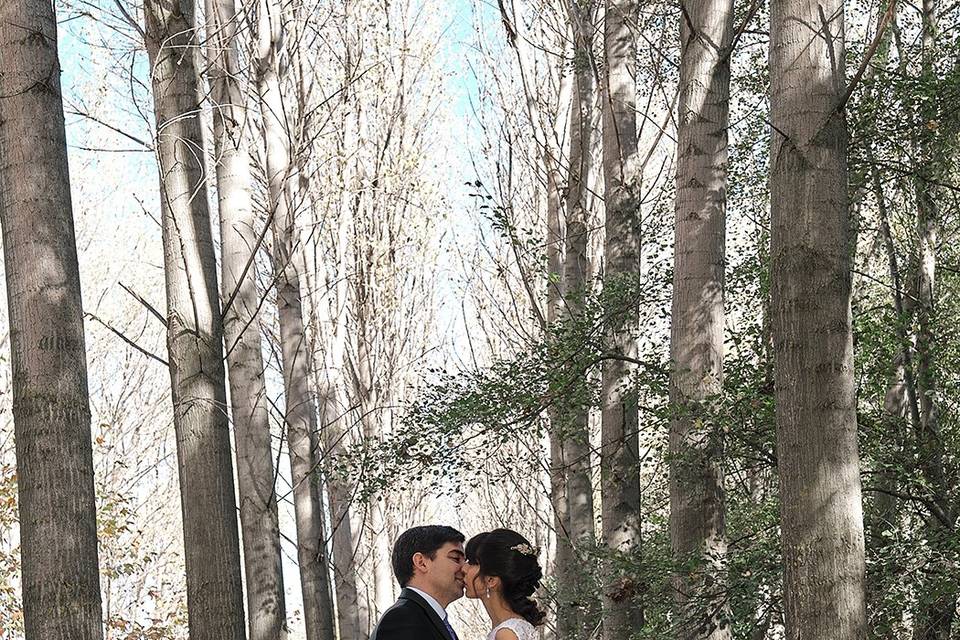 Posboda en la naturaleza