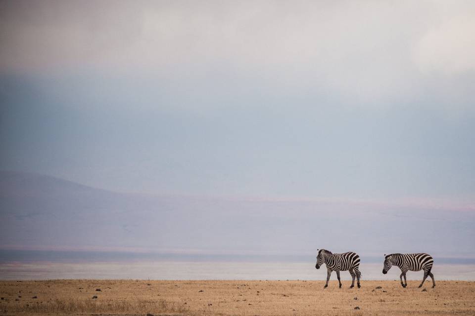 Viajar a África