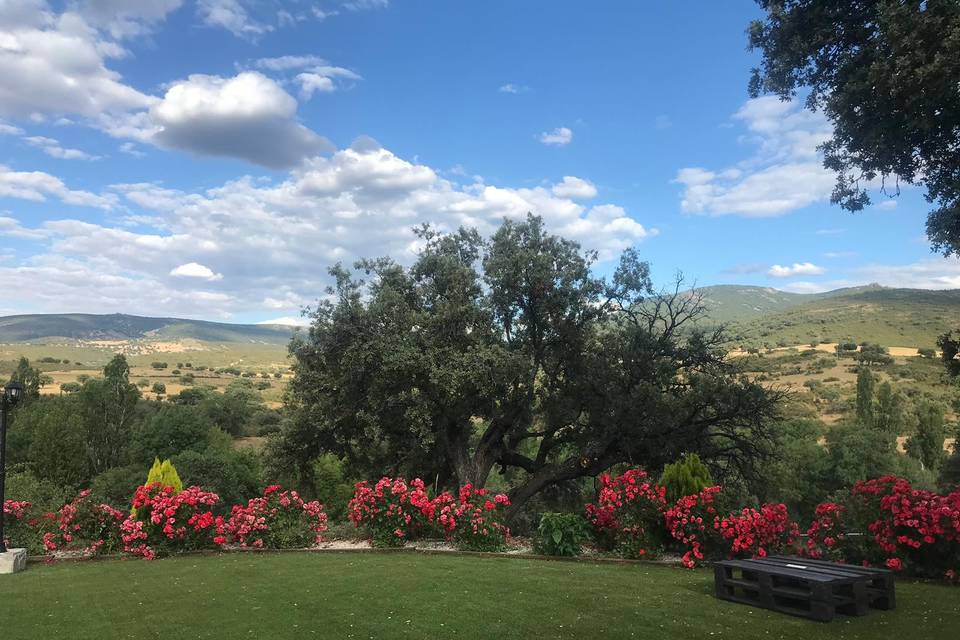 En el jardín