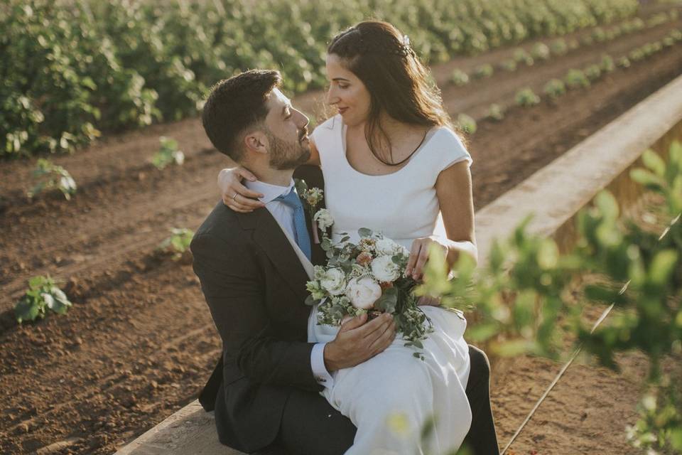 Novios al atardecer en la huerta