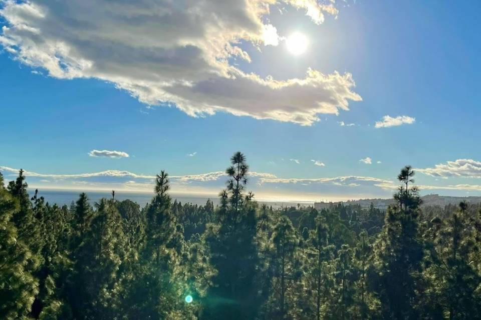 Vistas
