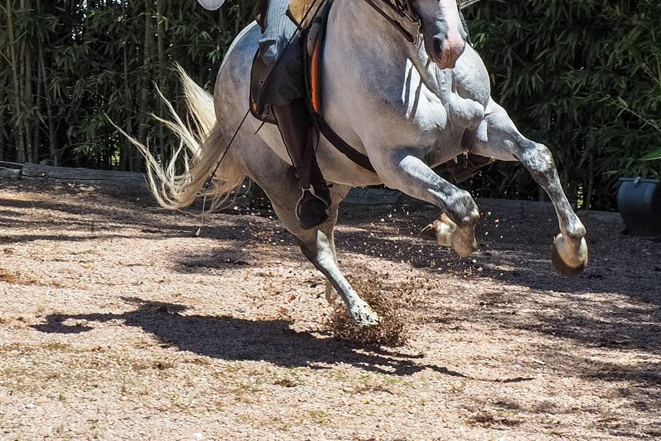 Don Juan con su caballo