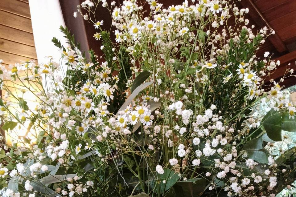Flores