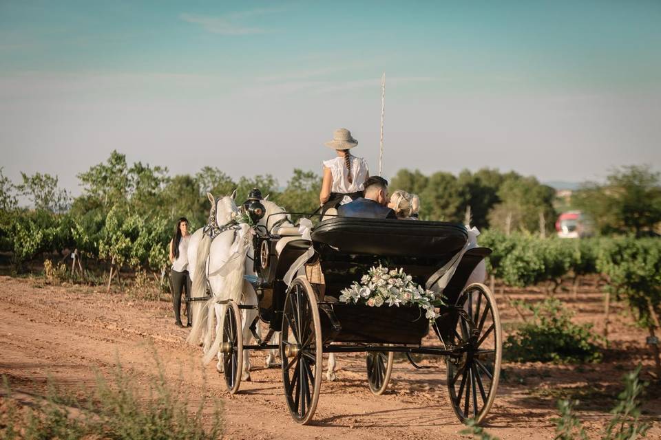 Boda en Oller del Mas