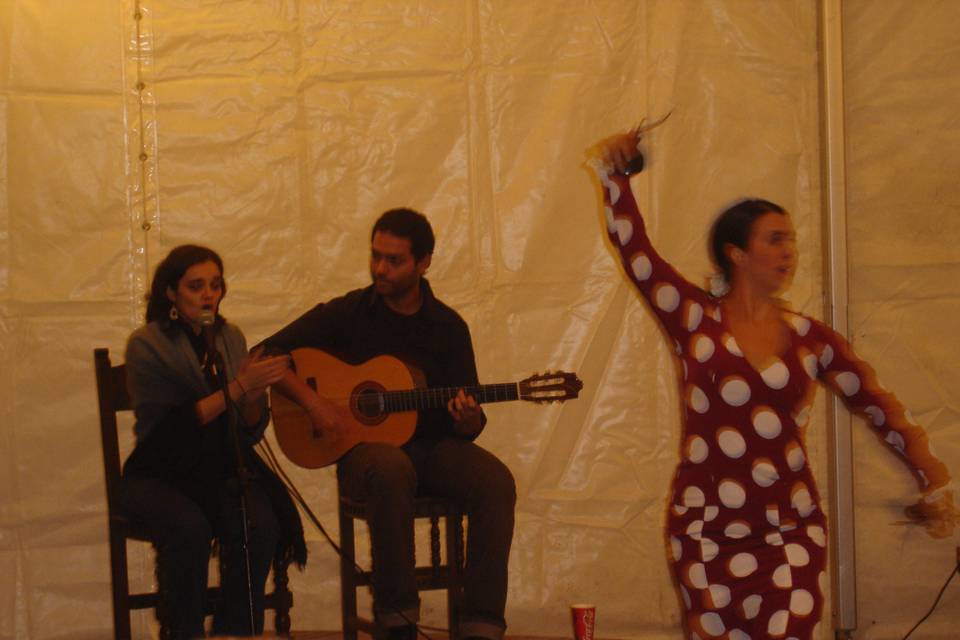 Actuación de cuadro flamenco durante la fiesta