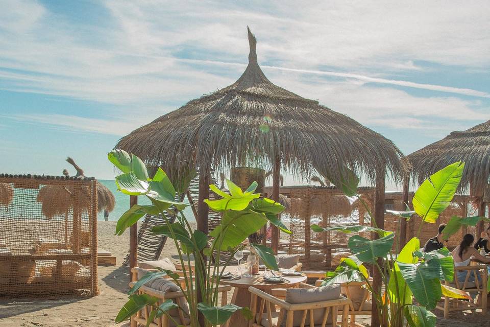 Palapa