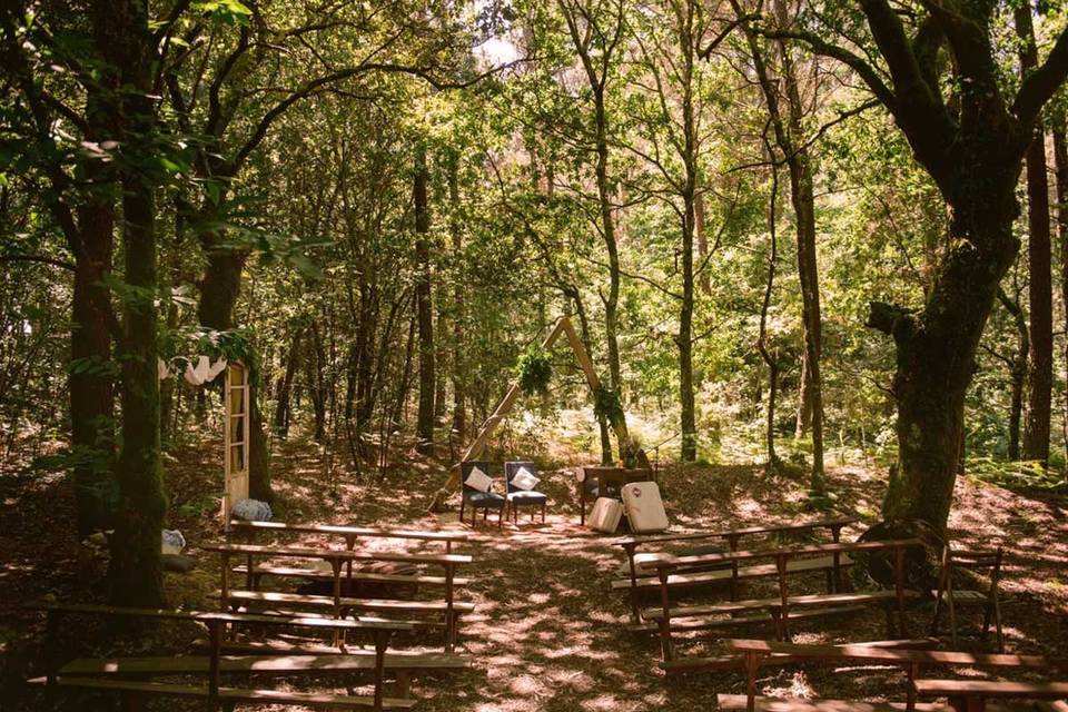 Bosque Máxico - ceremonia