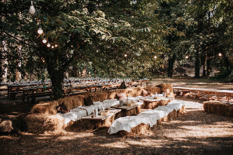 Bosque Mágico - bodas