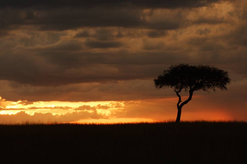 Safari por Kenia y Tanzania. Atardecer en Masai Mara