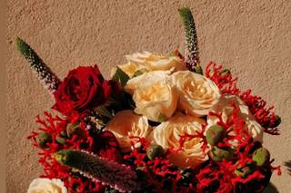 Rosa Flors