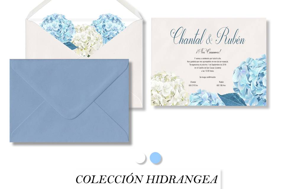 Colección hidrangea