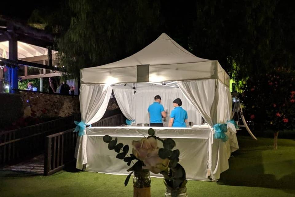 Carpa bodas