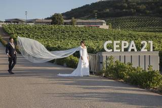 Bodega Cepa 21