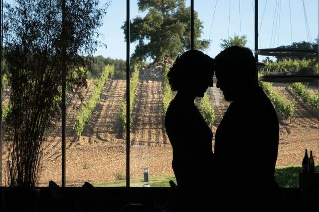 Bodega Cepa 21