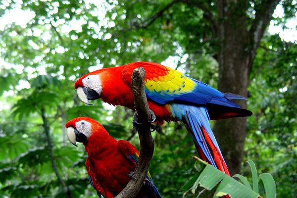 Costa Rica