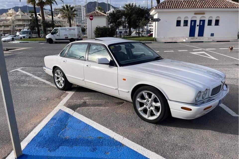 Jaguar XJR