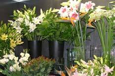 Floristería