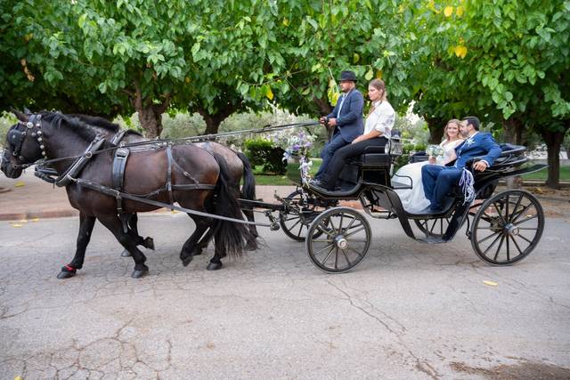 Novios en coche de caballos